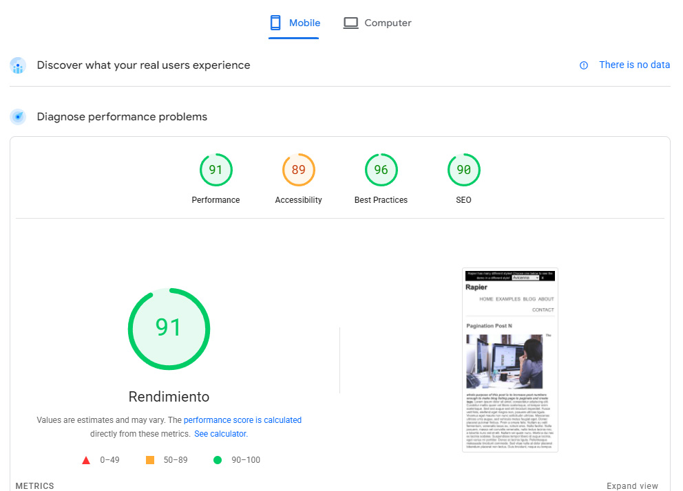 Rapier Theme Google Page Speed Insights Report